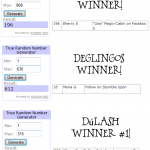 Christmas in July Winners