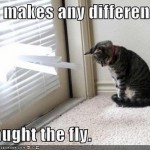 If it Makes Any Difference If it Makes Any Difference