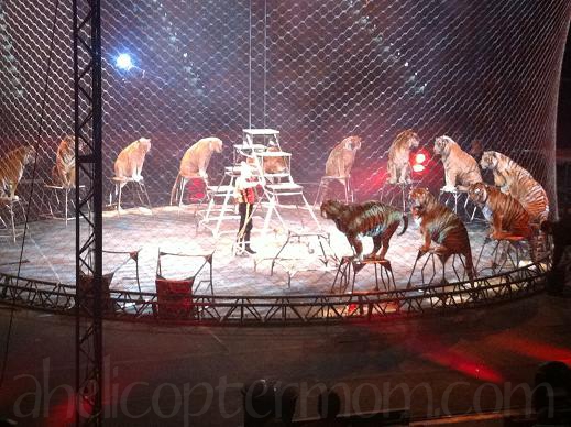 Ringling Bros.