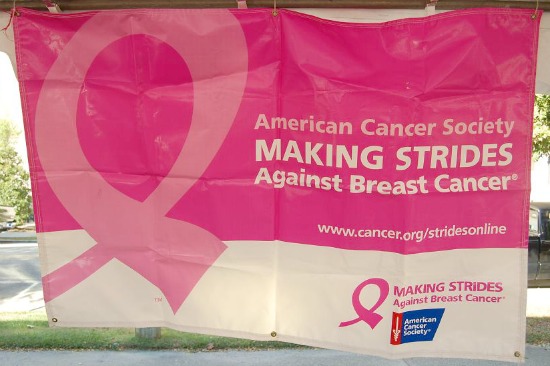 Making Strides Against Breast Cancer Walk Making Strides Against Breast Cancer Walk