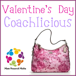 Coachlicious