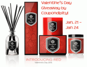 bluewick candle giveaway
