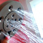 Delta In2ition Two-in-One Shower