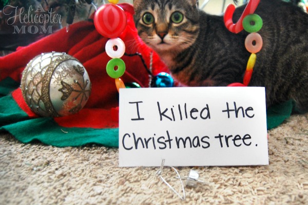 Cat-Shaming-A-Helicopter-Mom.jpg