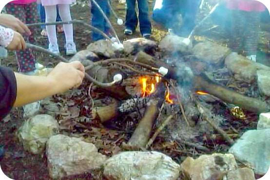 Summer Activities for Kids - Making S'mores