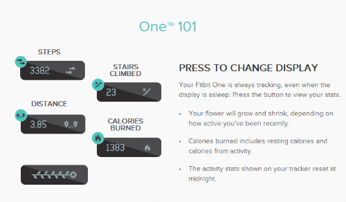 My Fitbit One My Fitbit One