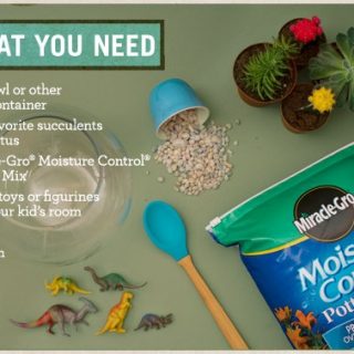 Fun DIY Gardens –  Projects for Children