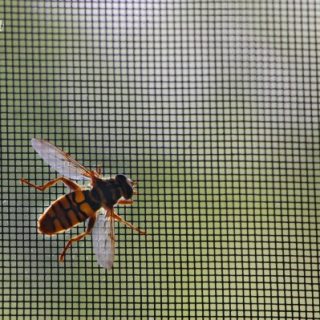 Don’t Let Bugs Feel At Home – $4,500 Sweepstakes
