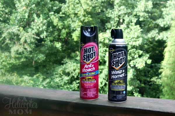 Hot Shot Wasp & Hornet and Ant & Roach Sprays