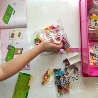 LEGO Juniors for Younger Builders