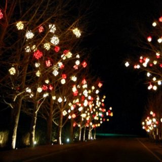 What Matters Most – Favorite Family Traditions