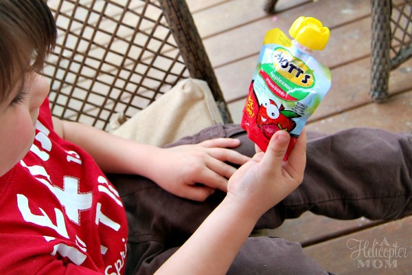  Mott's Snack & Go Applesauce wm