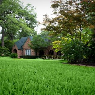 Live Life Outside – TruGreen