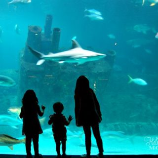 You Let Them Juggle Knives – Ending Mommy Guilt