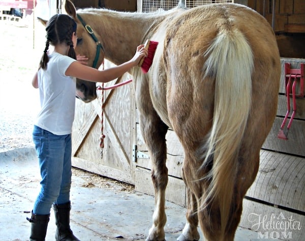 Dusty Horseback Riding