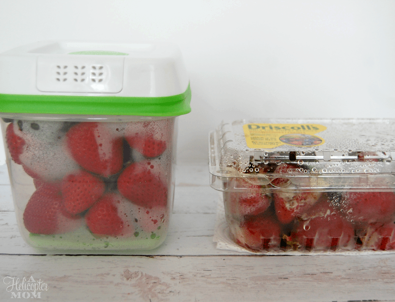 Strawberries after 9 days - Fresh and Rotten