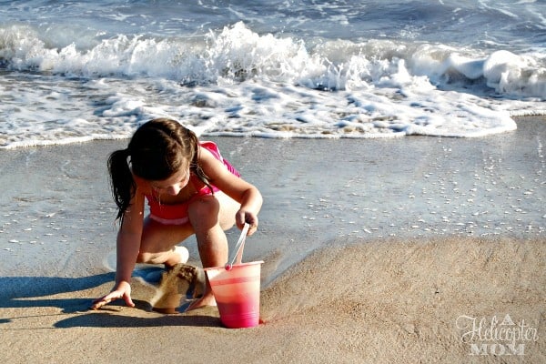 Fun in the Sun at an N.C. Beach