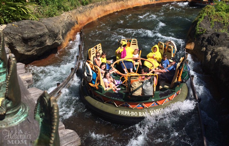 Traveling With Young Children to Disney World