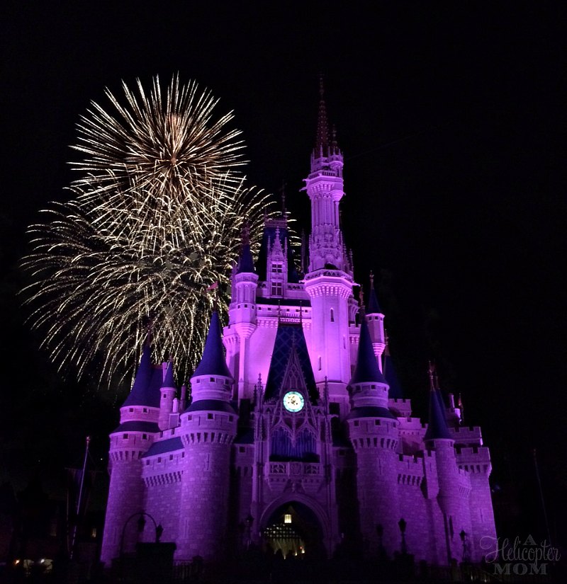 Traveling With Young Children in Orlando - Disney World