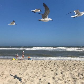 Summer Fun with The Family