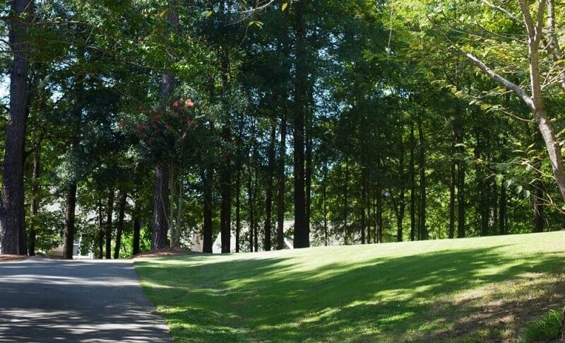 Fall Lawn Care Tips for a Beautiful Lawn