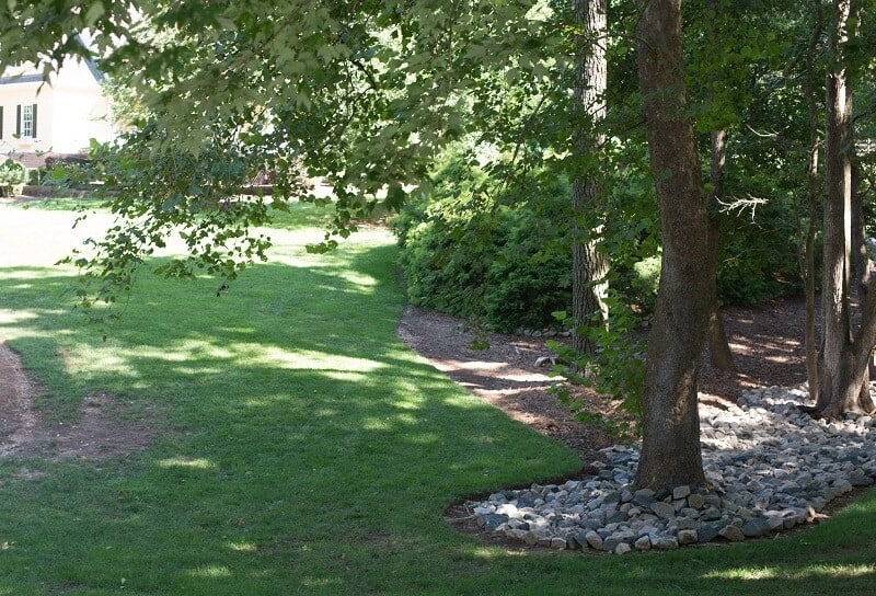 Fall Lawn Care Tips for a Healthy Lawn