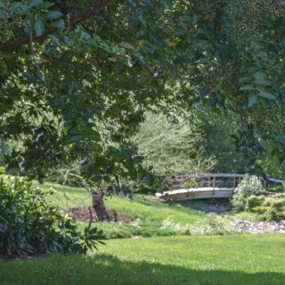 Fall Lawn Care Tips