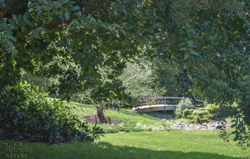 Fall Lawn Care Tips and Outdoor Yard Games