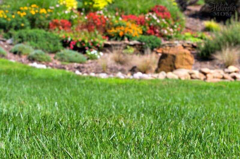 Fall Lawn Care Tips and Fun Outdoor Game Ideas