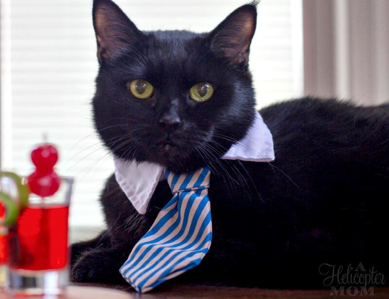 Cats with Cocktails - Jingle Juice Cocktail Recipe