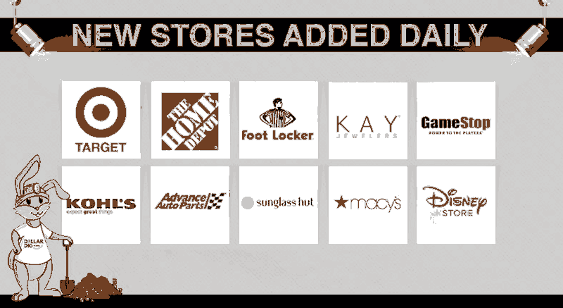 Dollar Dig How to Earn Money at New Stores